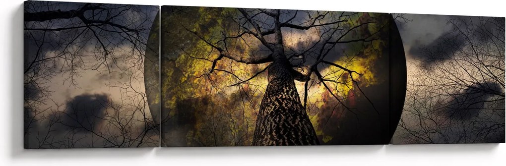 Obraz - Tajemnicze niebo (170x50 cm)