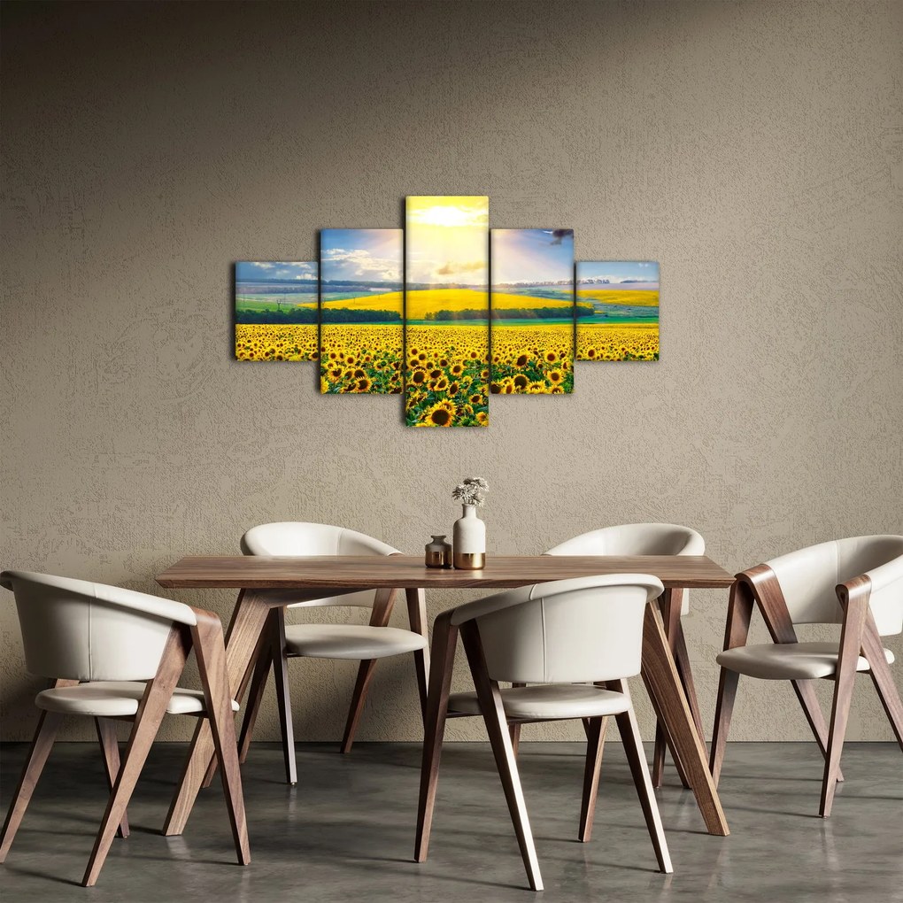 Obraz - Pole słoneczników (125x70 cm)