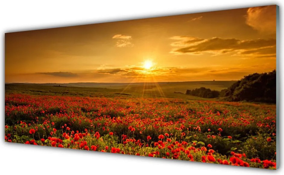 Szkło nad Blatem Maki w Blasku Zachodzącego Słońca