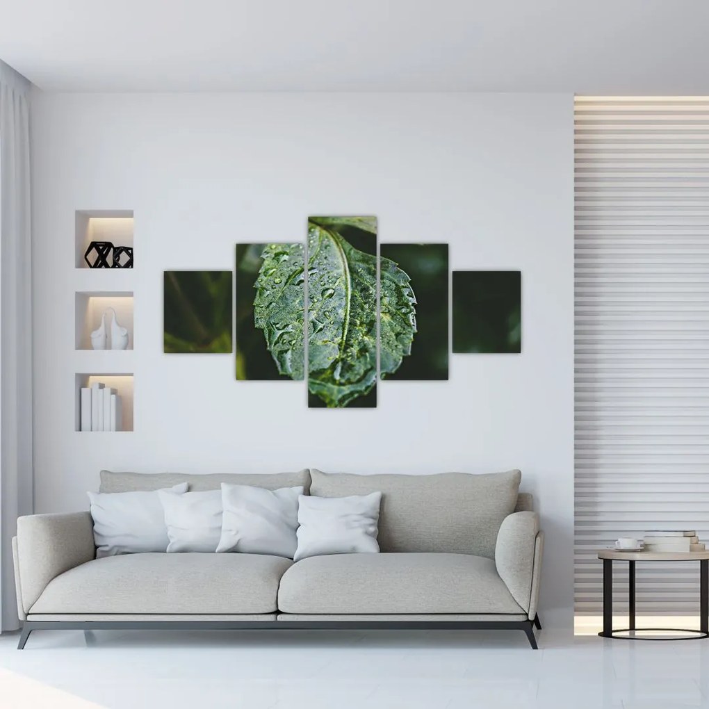 Obraz - krople na liściu (125x70 cm)