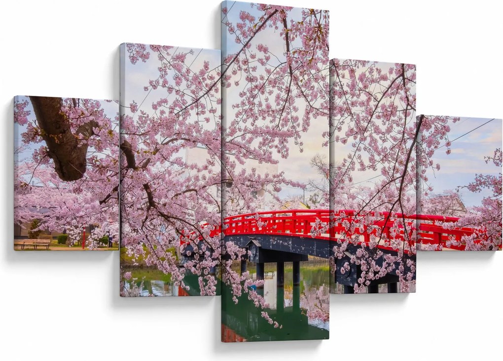 Obraz - Hirosaki, Japonia (125x70 cm)
