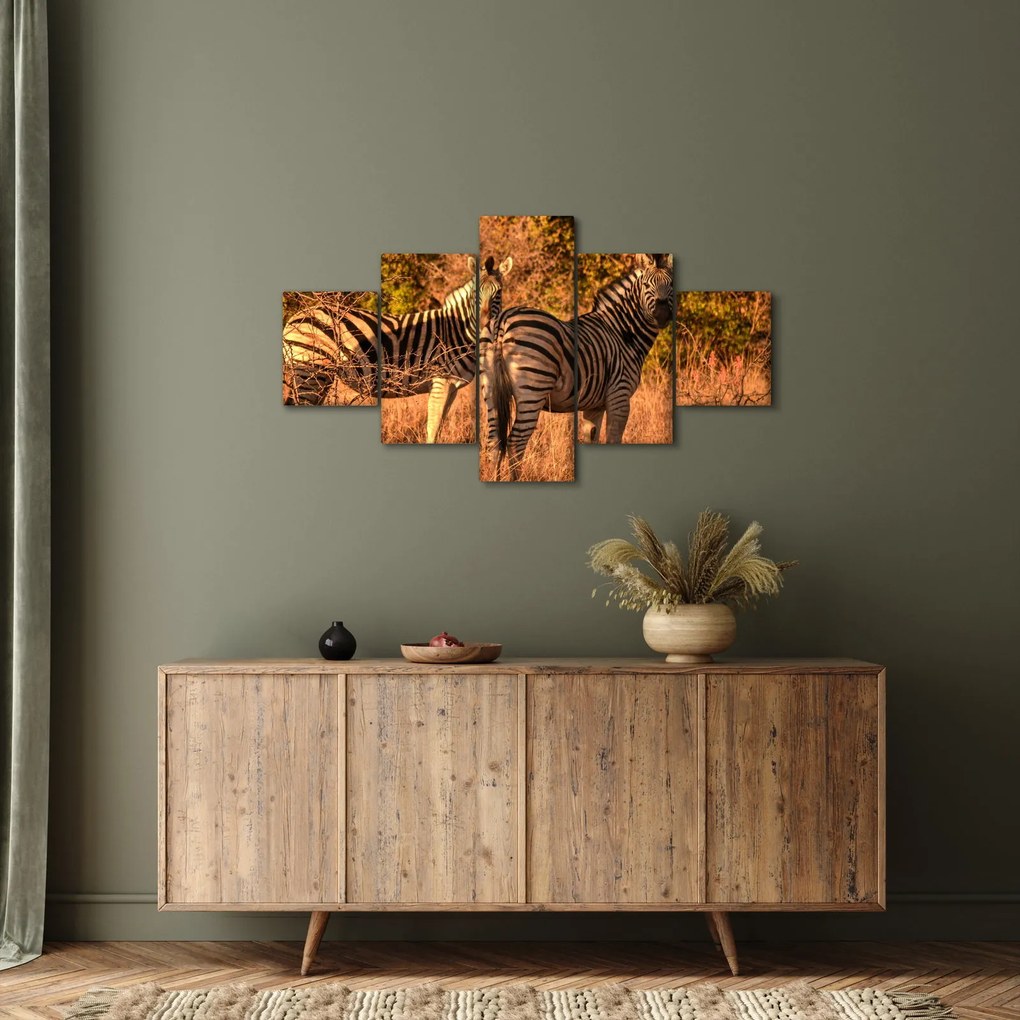 Obraz zebr (125x70 cm)