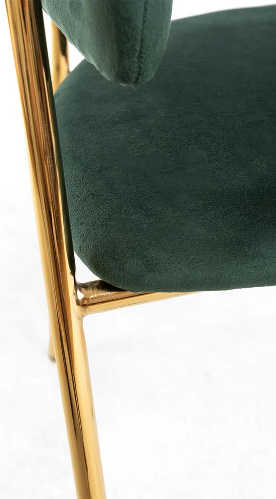 Krzeso Moniel Golden Velvet