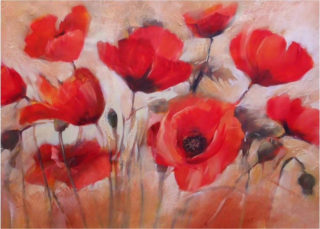 Obraz - Wilcze maki (70x50 cm)