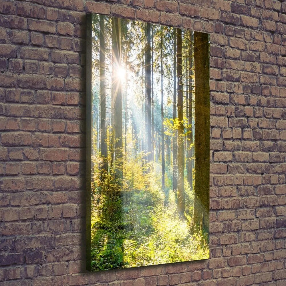 Foto obraz canvas pionowy Słońce w lesie