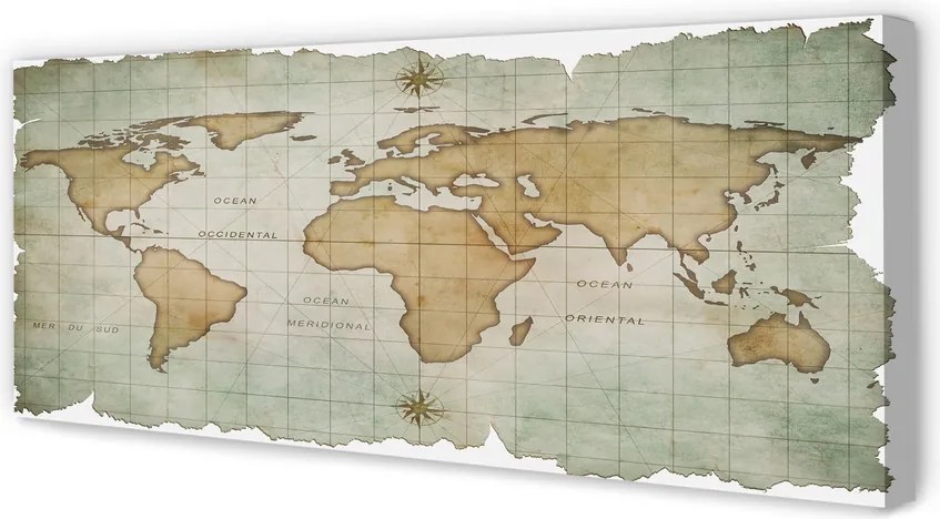 Obraz drukowany na płótnie Mapa Świata