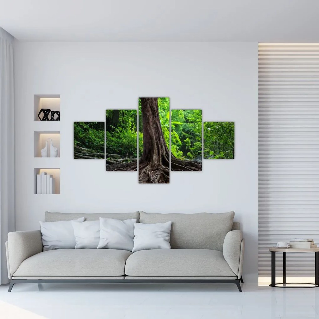 Obraz - Stare drzewo z korzeniami (125x70 cm)