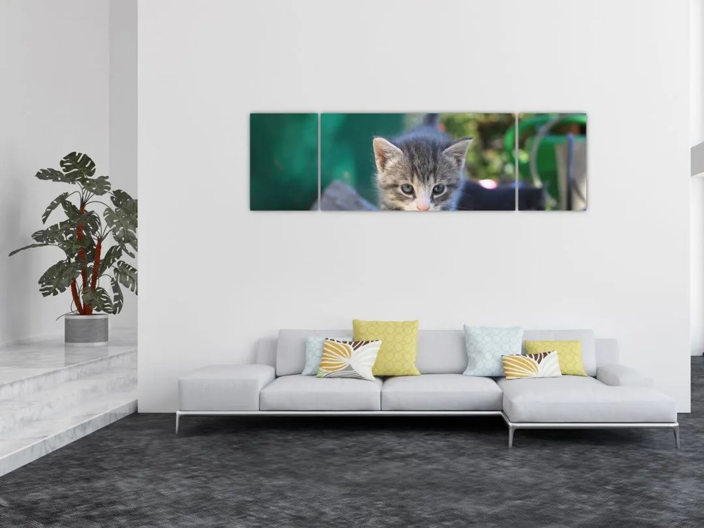 Obraz kotków (170x50 cm)