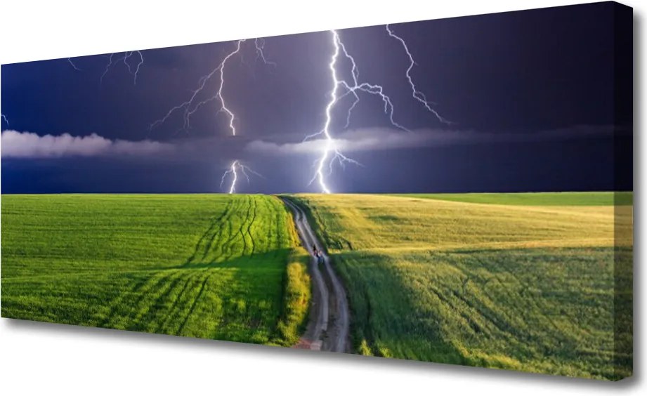 Obraz na płótnie Potęga Burzy nad Polami