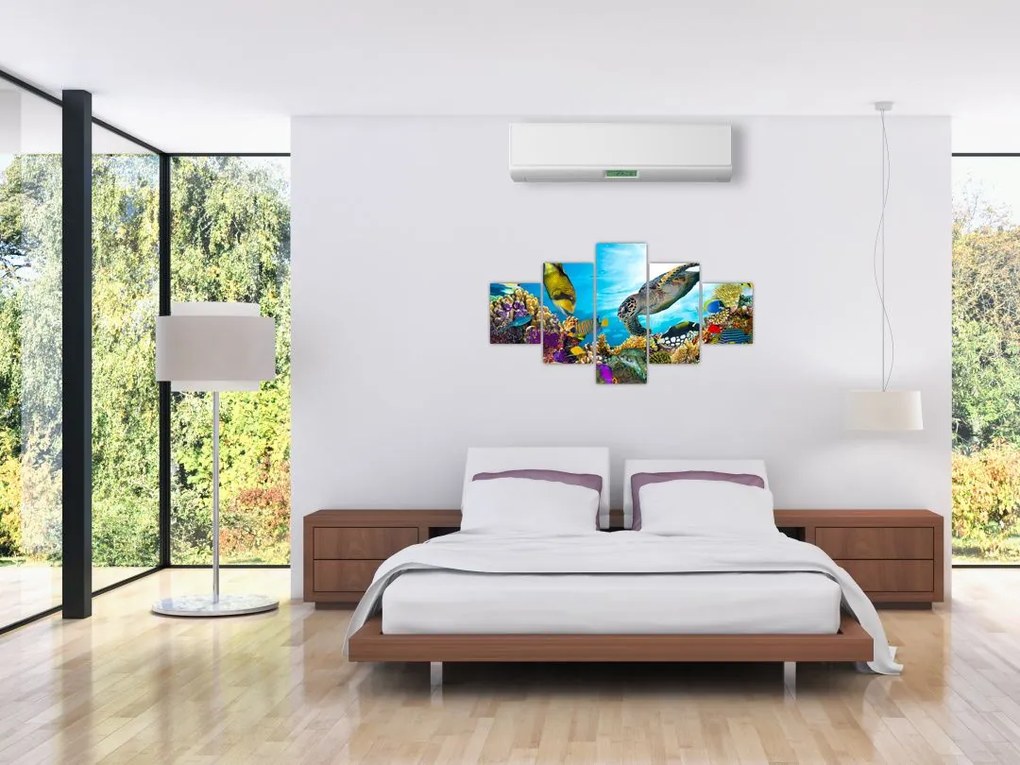 Obraz rafy koralowej (125x70 cm)
