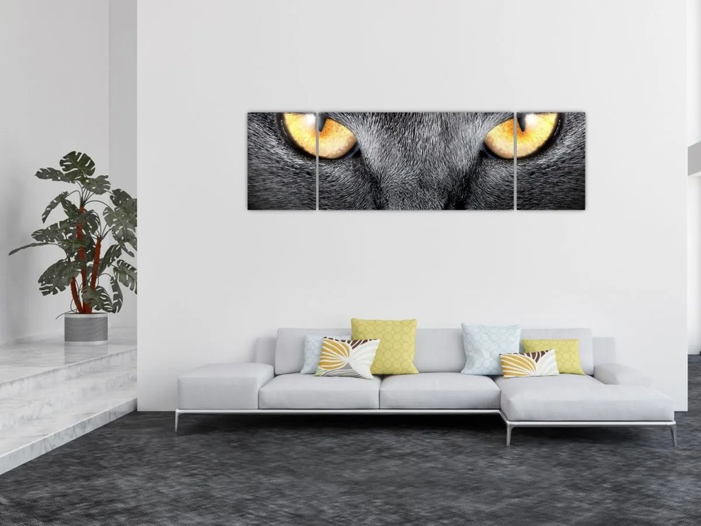 Obraz - Portret kota z bliska (170x50 cm)