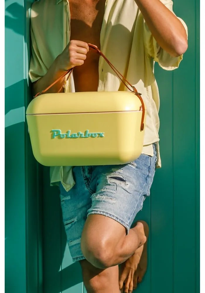 Fioletowy pojemnik chłodzący 20 l Classic Rainbow – Polarbox