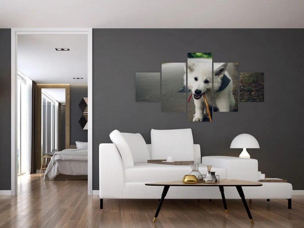 Obraz białego psa (125x70 cm)