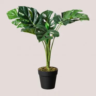 Dekoracyjna Sztuczna Roślina Monstera 70 Cm ↑70 Cm - Sklum