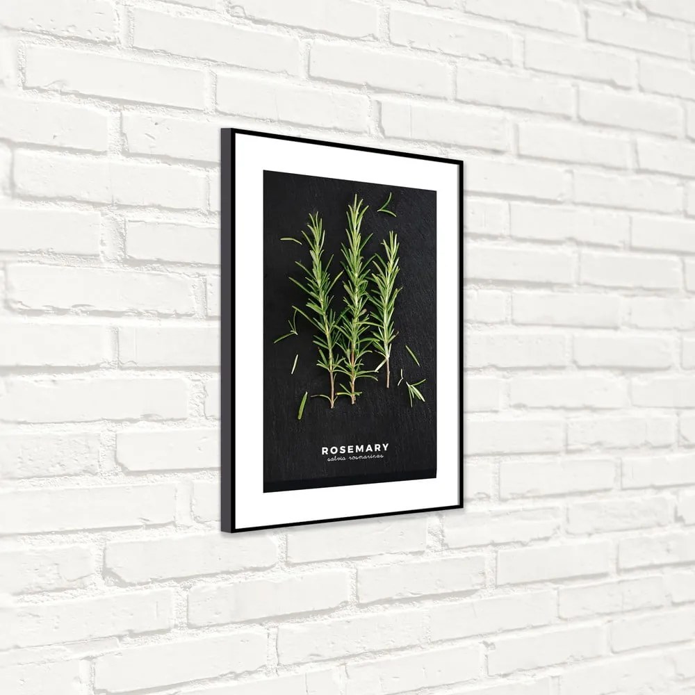 Obraz 50x70 cm Rosemary – Styler