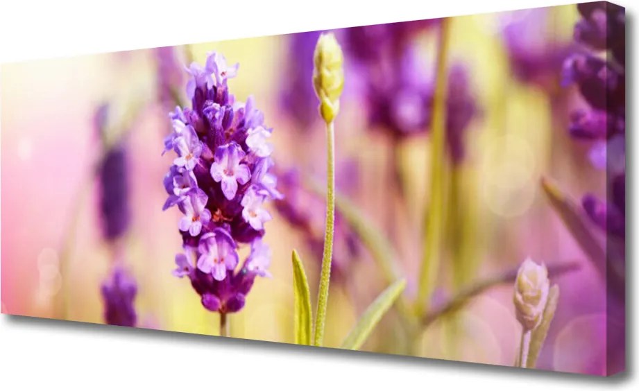 Obraz canvas Delikatność Polnych Kwiatów