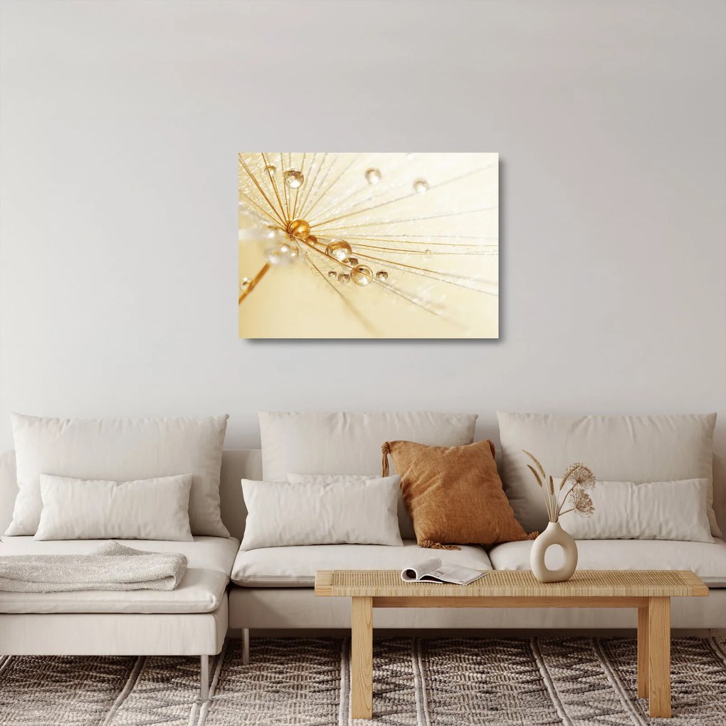 Obraz na szkle - Zdjęcie makro mniszka lekarskiego (70x50 cm)