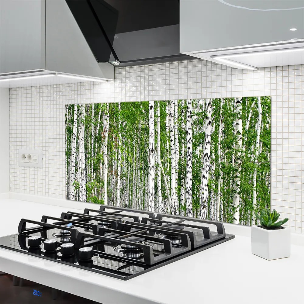 Panel Szklany do Kuchni Świetlisty Las Brzozowy