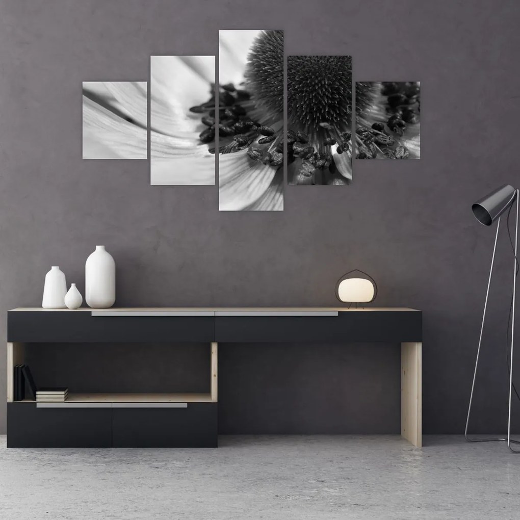 Obraz - Kwiat w czerni i bieli (125x70 cm)