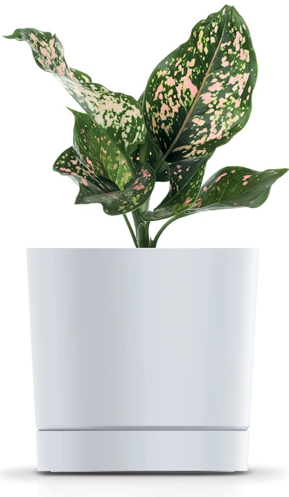 Donica ogrodowa Tubo P 17,8 cm biała PROSPERPLAST