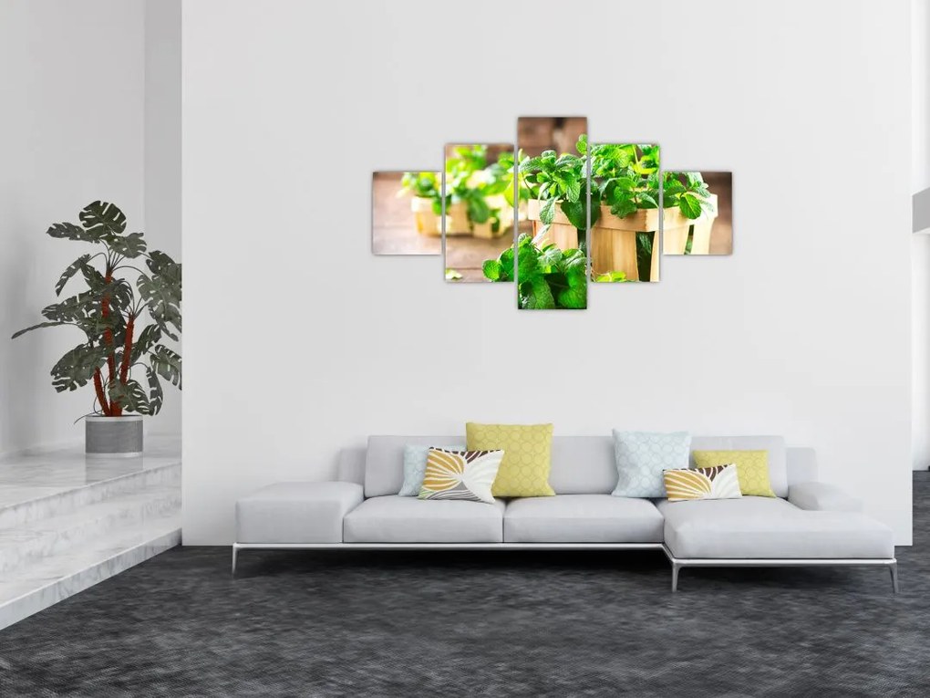 Obraz świeżej mięty (125x70 cm)