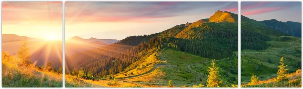 Obraz - Letni krajobraz (170x50 cm)
