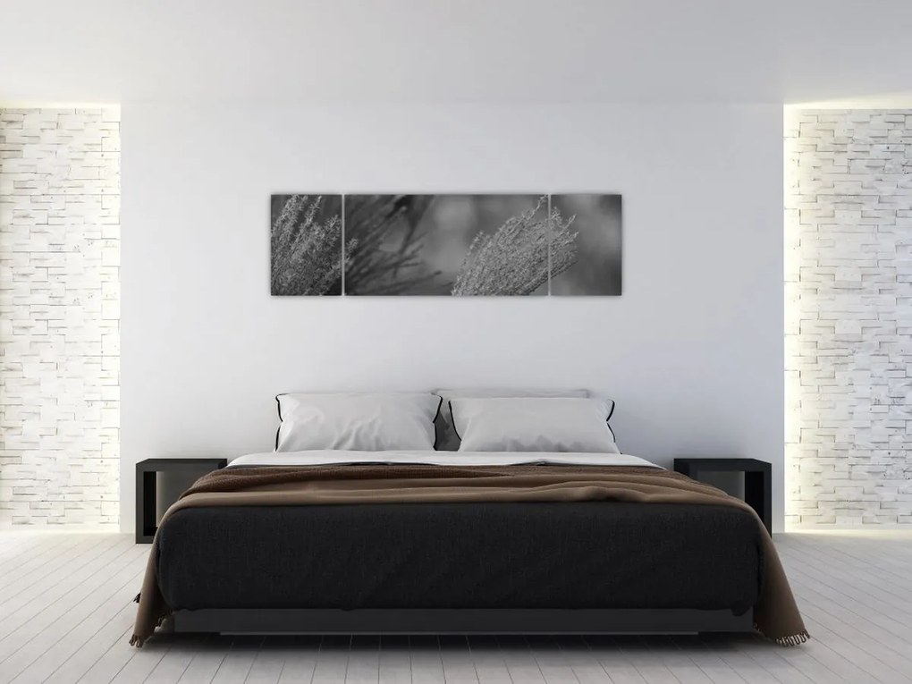 Obraz - Suszona trawa pampasowa (170x50 cm)