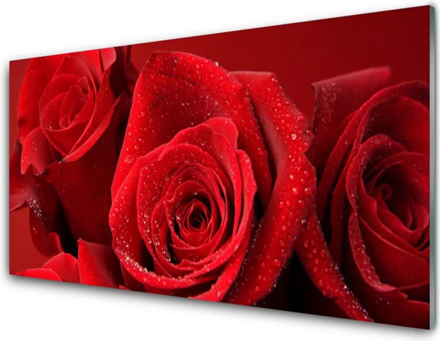 Panel Kuchenny Aksamitne Płatki Róż