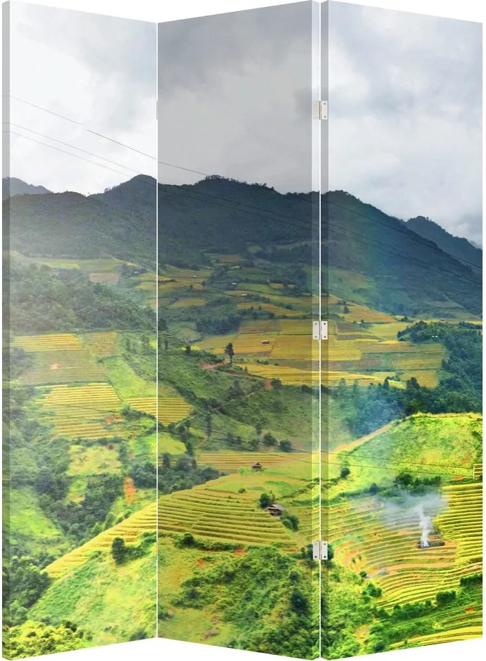 Parawan - Planacja (126x170 cm)
