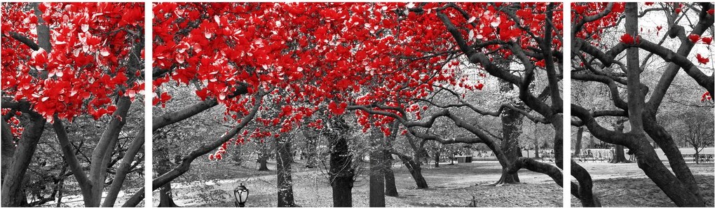 Obraz - Czerwone drzewa, Central Park, New York (170x50 cm)