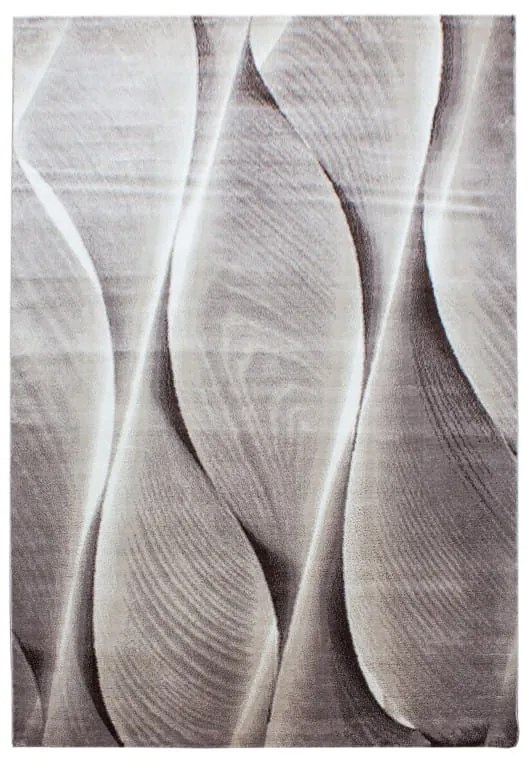 Dywan nowoczesny Parma Wstęgi brązowy 200 cm x 290 cm