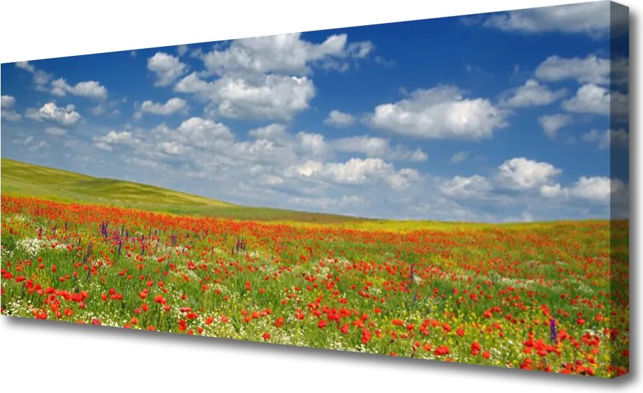 Obraz canvas na ścianę Sielski Pejzaż Polny