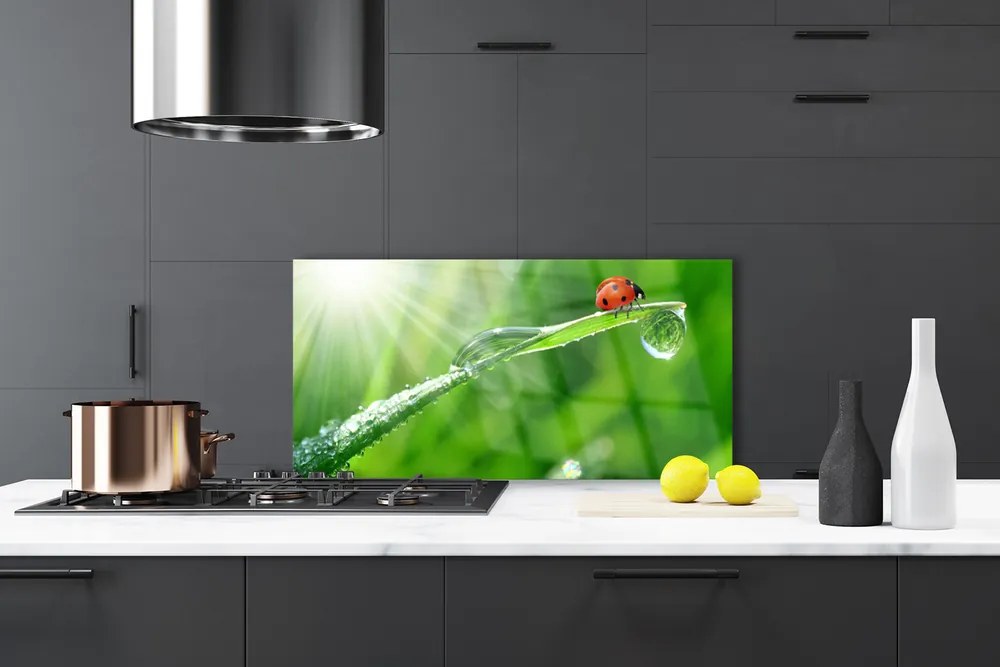 Panel Szklany do Kuchni Mała Biedronka Na Źdźble