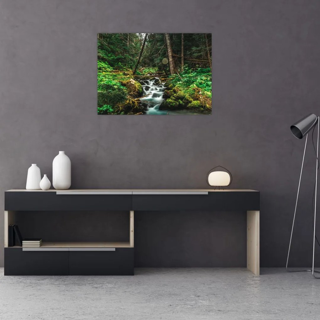 Obraz strumienia w lesie (70x50 cm)