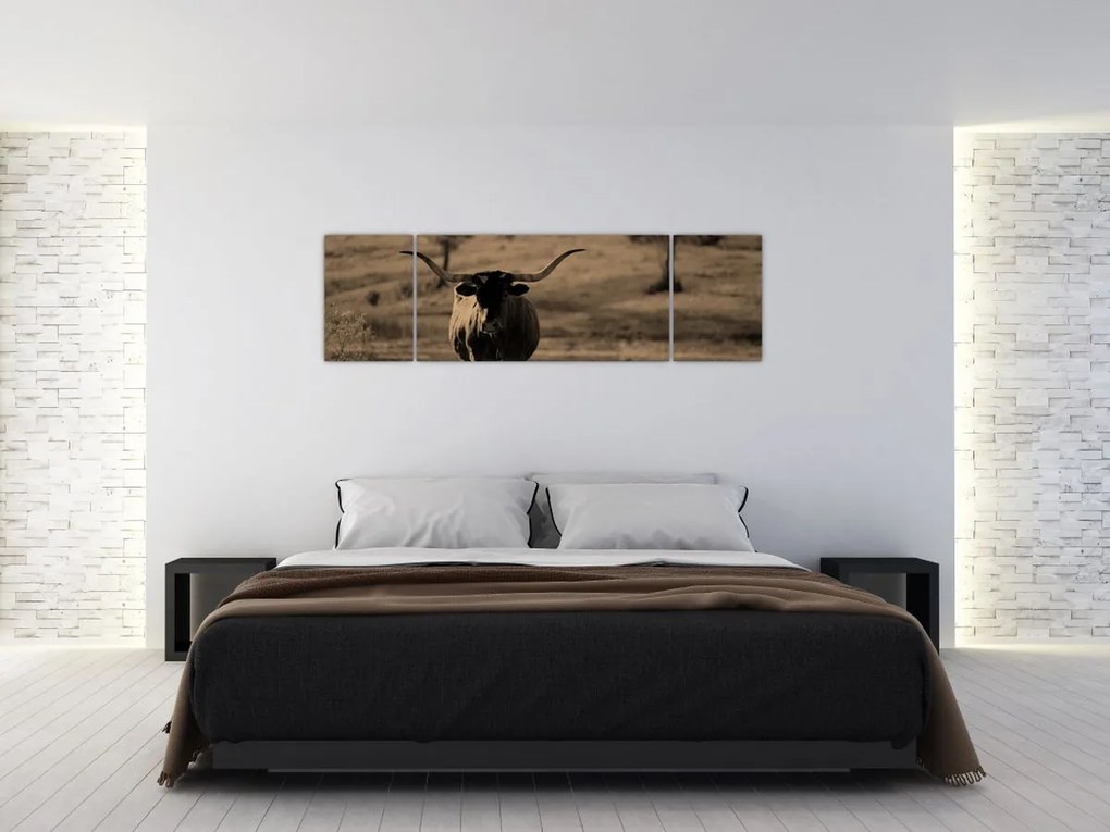Obraz - Krowa z Teksasu (170x50 cm)