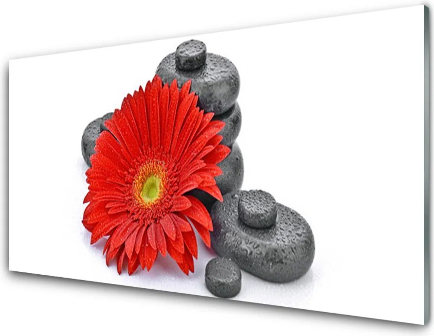 Panel Szklany Wyrazista Czerwona Gerbera