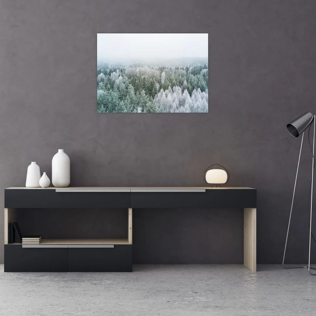 Obraz - Ośnieżone szczyty lasów (70x50 cm)