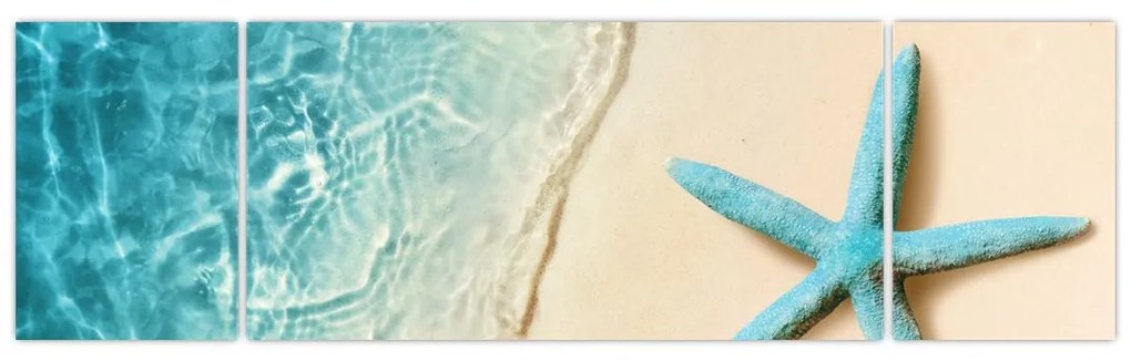 Obraz - Rozgwiazda na plaży (170x50 cm)