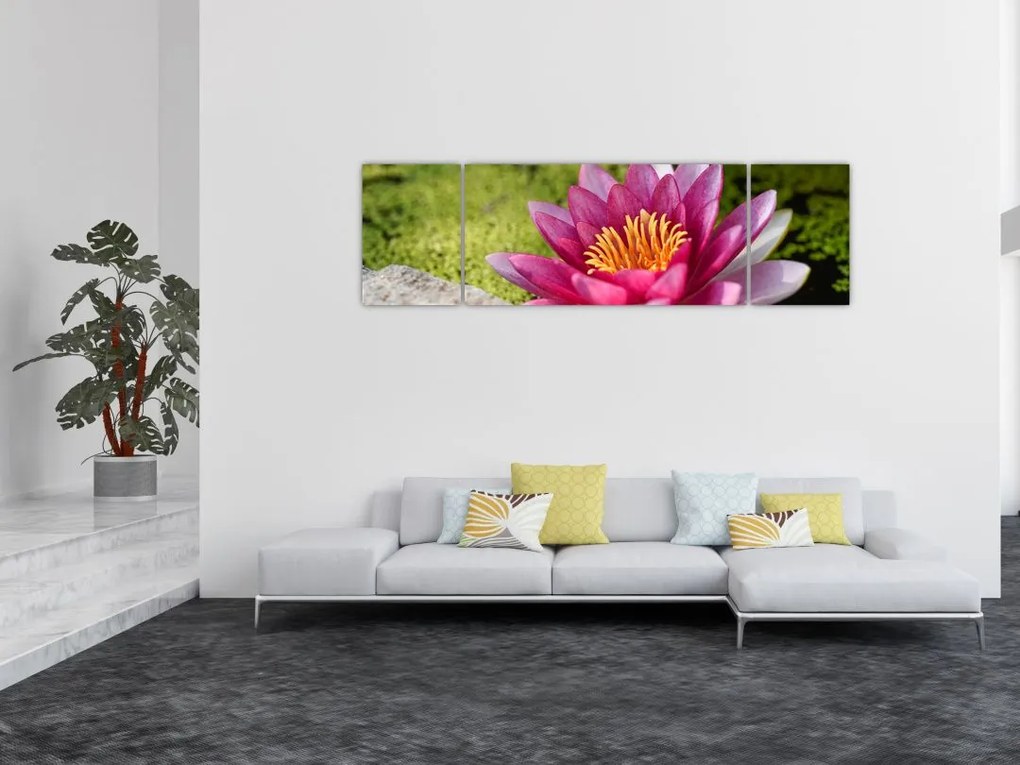 Obraz - Lilia wodna (170x50 cm)
