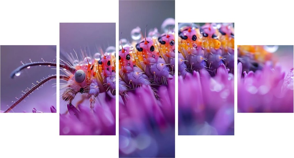 Obraz - Caterpillar (125x70 cm)