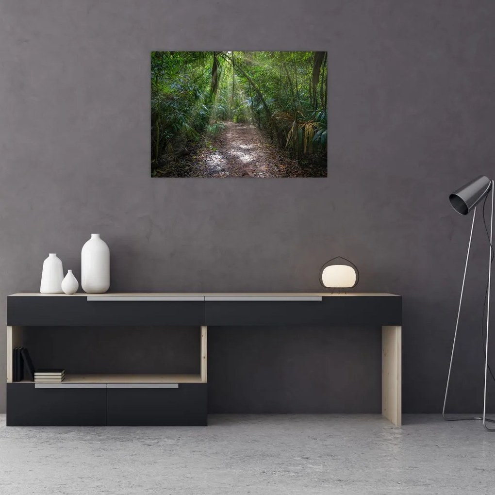 Obraz - Promienie słońca w dżungli (70x50 cm)