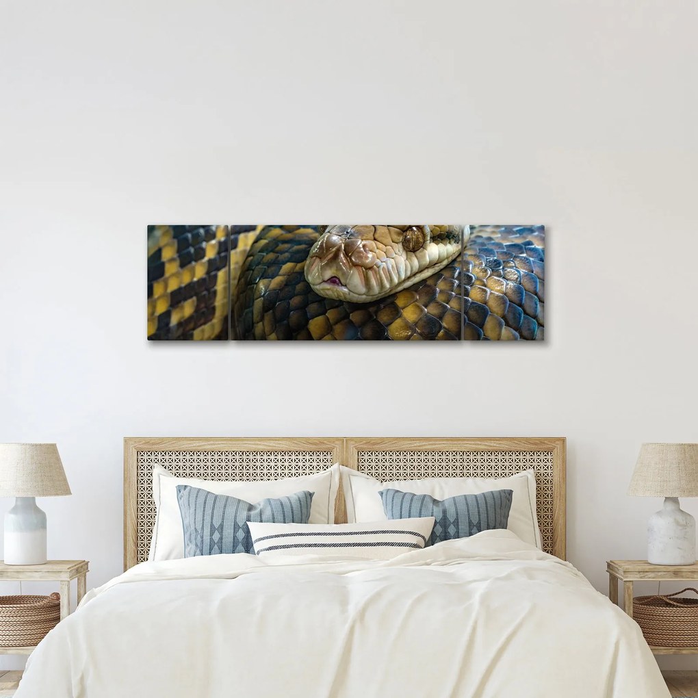 Obraz - Pyton (170x50 cm)