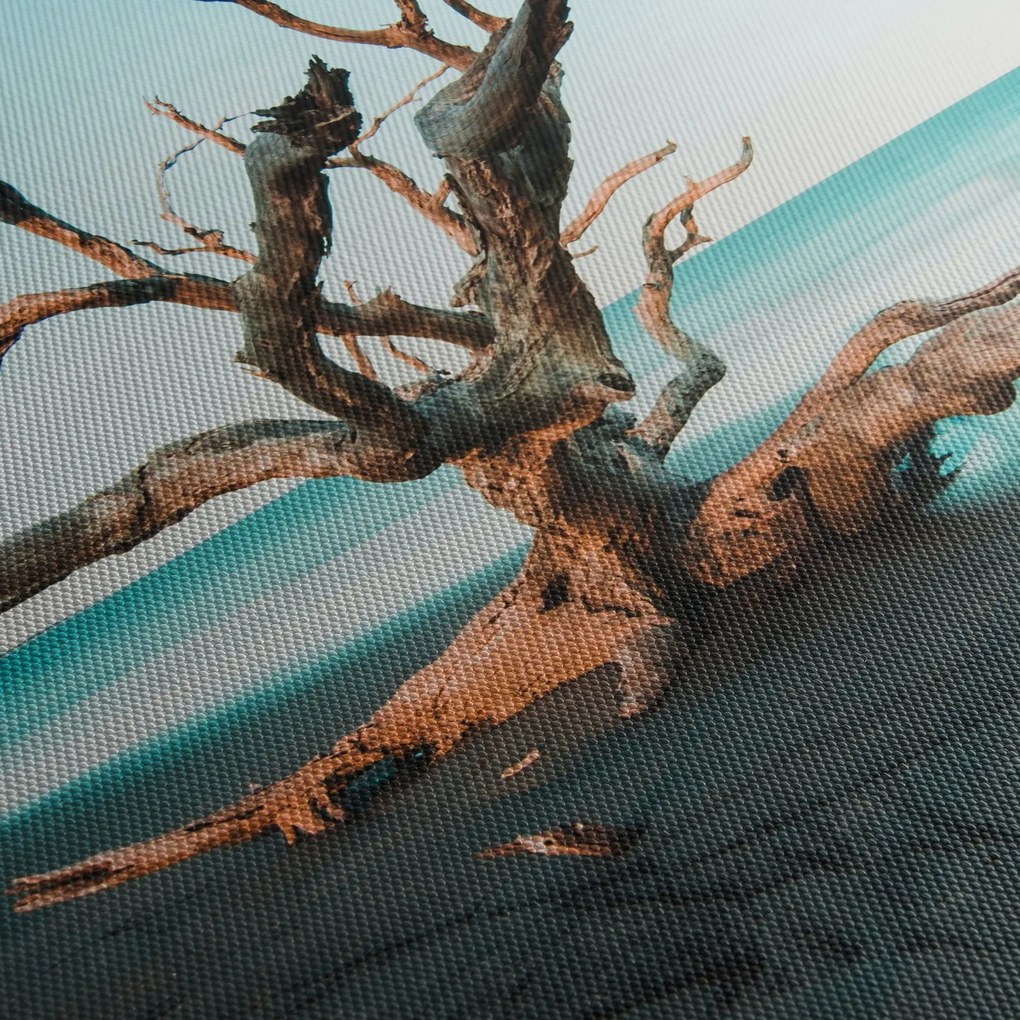 Obraz - Wyłowiono na plaży (125x70 cm)