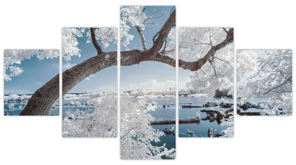 Obraz ośnieżonego drzewa nad wodą (125x70 cm)
