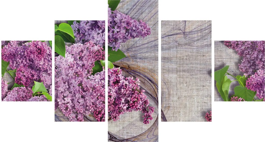 Obraz - Bez (125x70 cm)