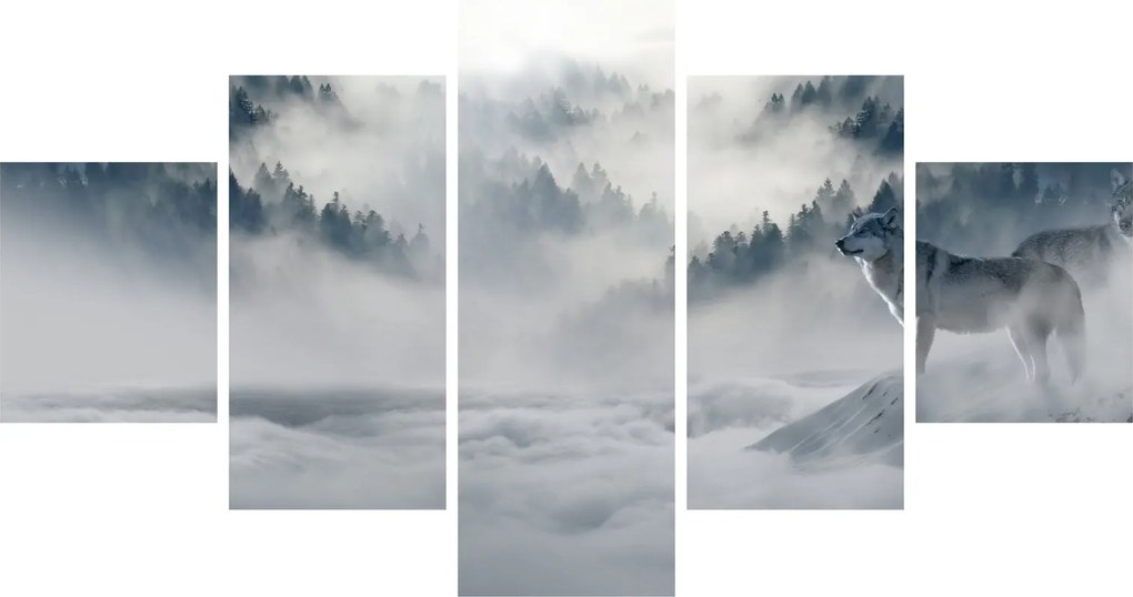 Obraz wilków (125x70 cm)