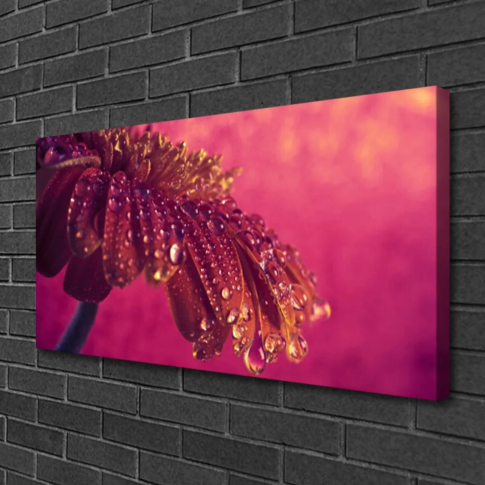 Zdjęcie na płótnie Majestatyczne Drzewo w Polu