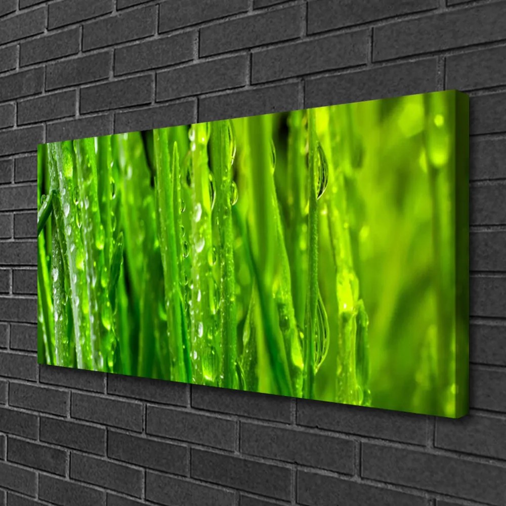 Obraz canvas Naturalna Tekstura Zielonej Trawy