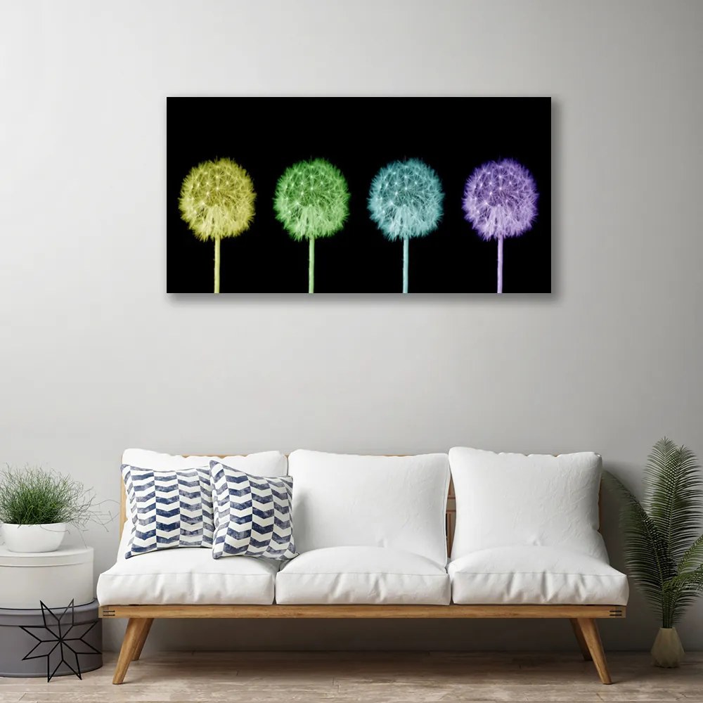 Obraz na płótnie Puszysta Kula Mniszka