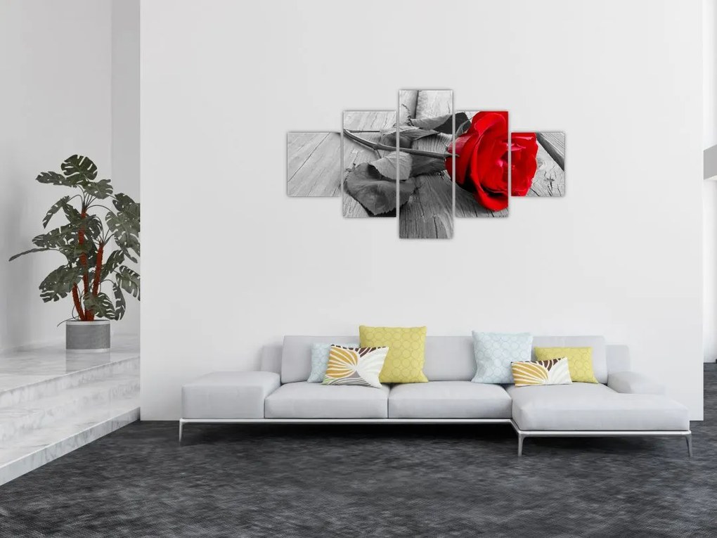 Obraz czerwonej róży (125x70 cm)